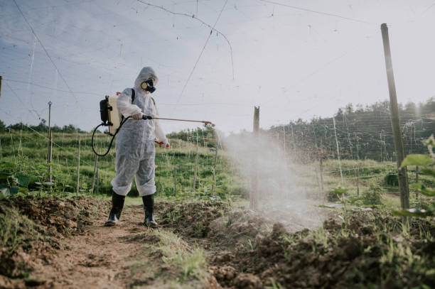 Best Best Pest Control Companies  in Remgton, IN