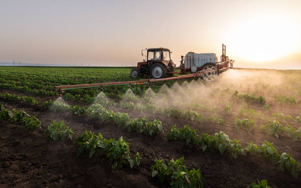 Pest Prevention Services in Remington, IN