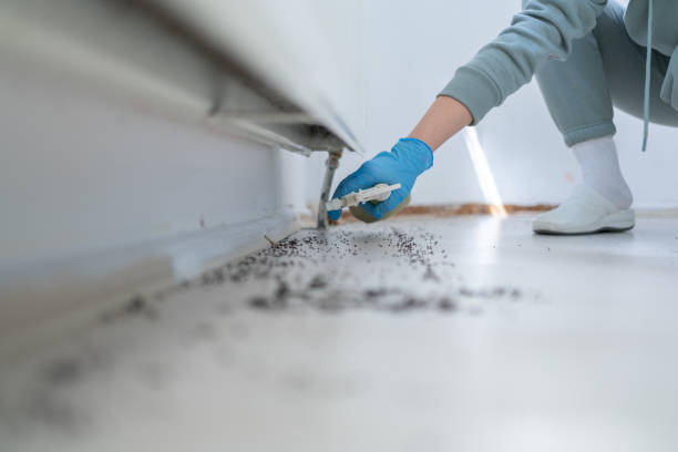Best Pest Prevention Services  in Remgton, IN